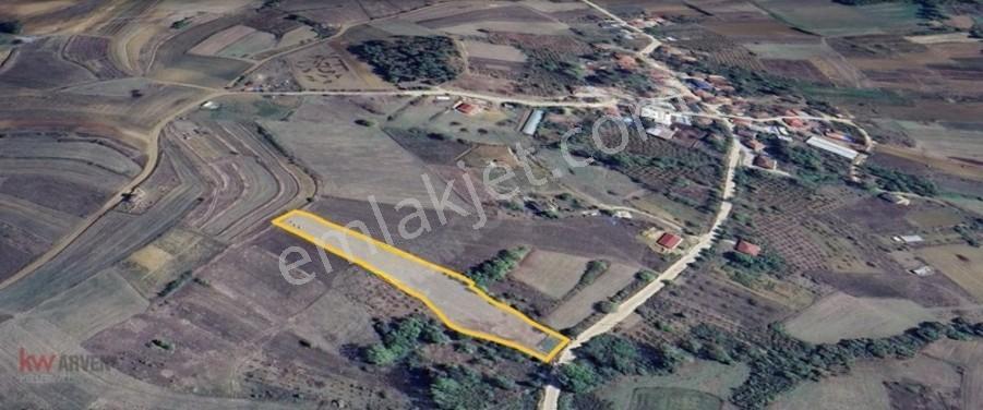 Kw Arven'den Kandıra Sepetçi'de 3775 M2 Tarlanın 12/8 Hissesi — fotoğraf 2