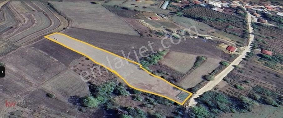 Kw Arven'den Kandıra Sepetçi'de 3775 M2 Tarlanın 12/8 Hissesi — fotoğraf 3