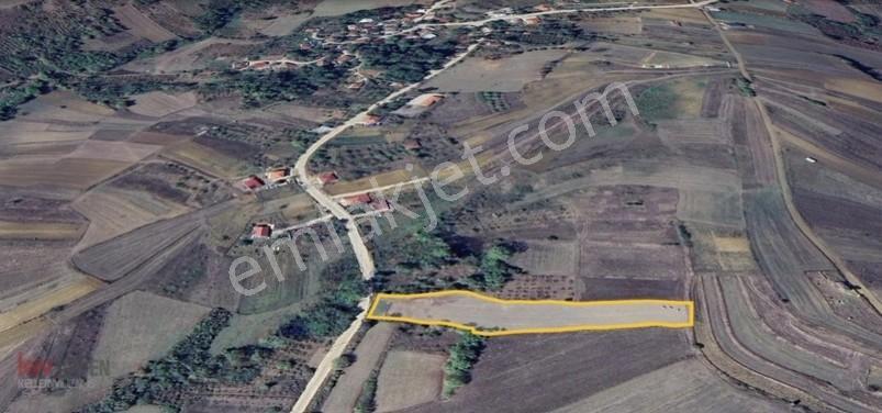 Kw Arven'den Kandıra Sepetçi'de 3775 M2 Tarlanın 12/8 Hissesi — fotoğraf 4