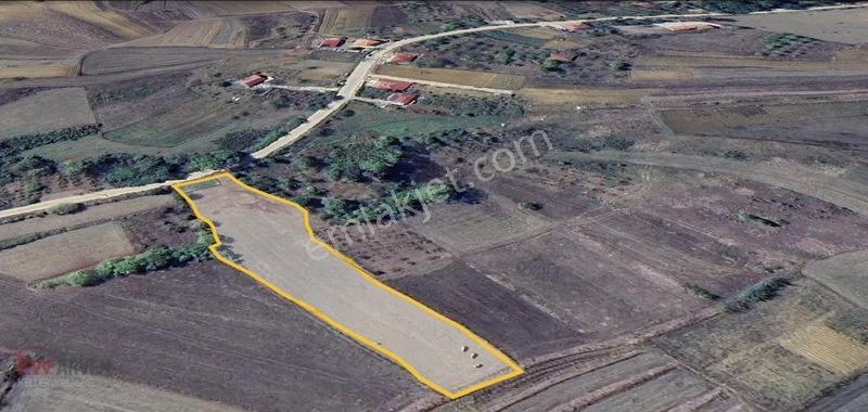 Kw Arven'den Kandıra Sepetçi'de 3775 M2 Tarlanın 12/8 Hissesi — fotoğraf 5