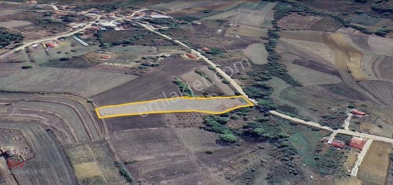 Kw Arven'den Kandıra Sepetçi'de 3775 M2 Tarlanın 12/8 Hissesi — fotoğraf 6