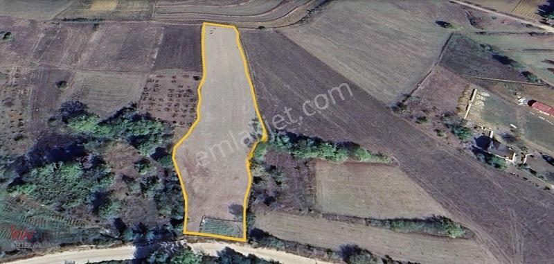 Kw Arven'den Kandıra Sepetçi'de 3775 M2 Tarlanın 12/8 Hissesi — fotoğraf 7