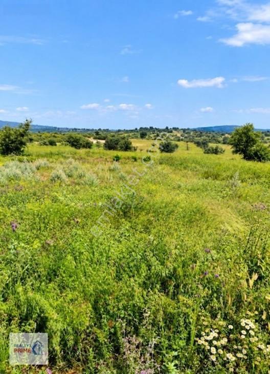Burdur Yeşilova Büyükyaka Mh 1100M² Köye Yakın Satılık Tarla
