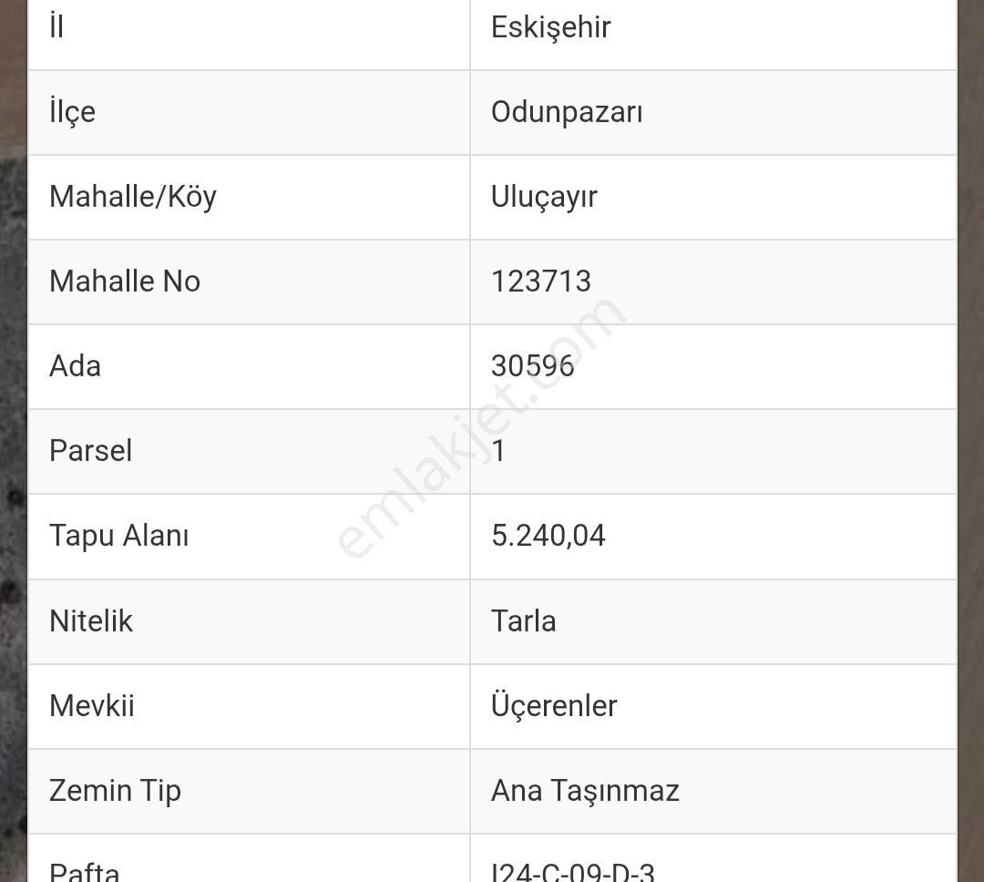 Rw Detay'dan Eskişehir Uluçayır Köyün'de 5,240 M2 Satılık Tarla — fotoğraf 3