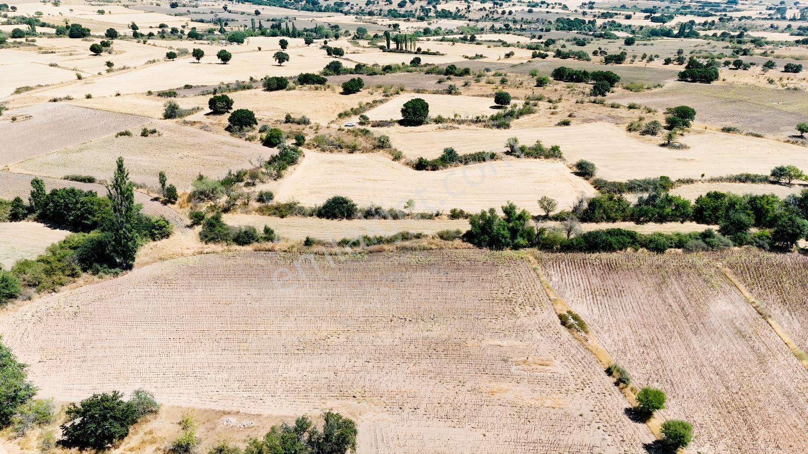 Üsküp Cevat Paşada 5170m2 Satılık Tarla — fotoğraf 2