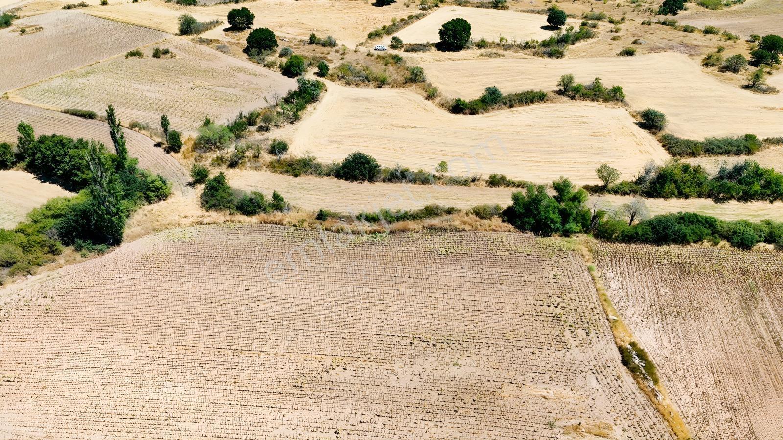 Üsküp Cevat Paşada 5170m2 Satılık Tarla — fotoğraf 3