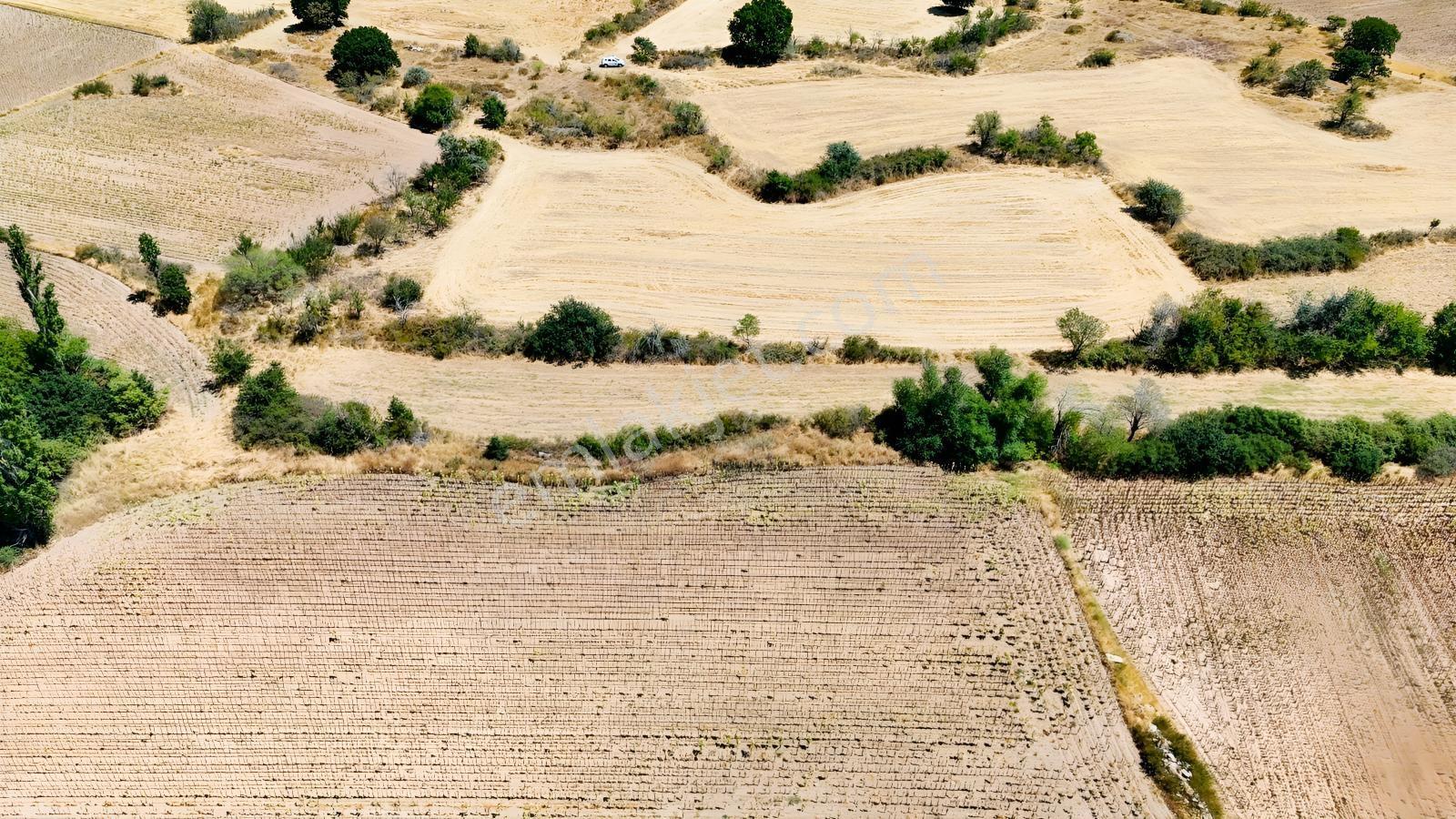 Üsküp Cevat Paşada 5170m2 Satılık Tarla — fotoğraf 4