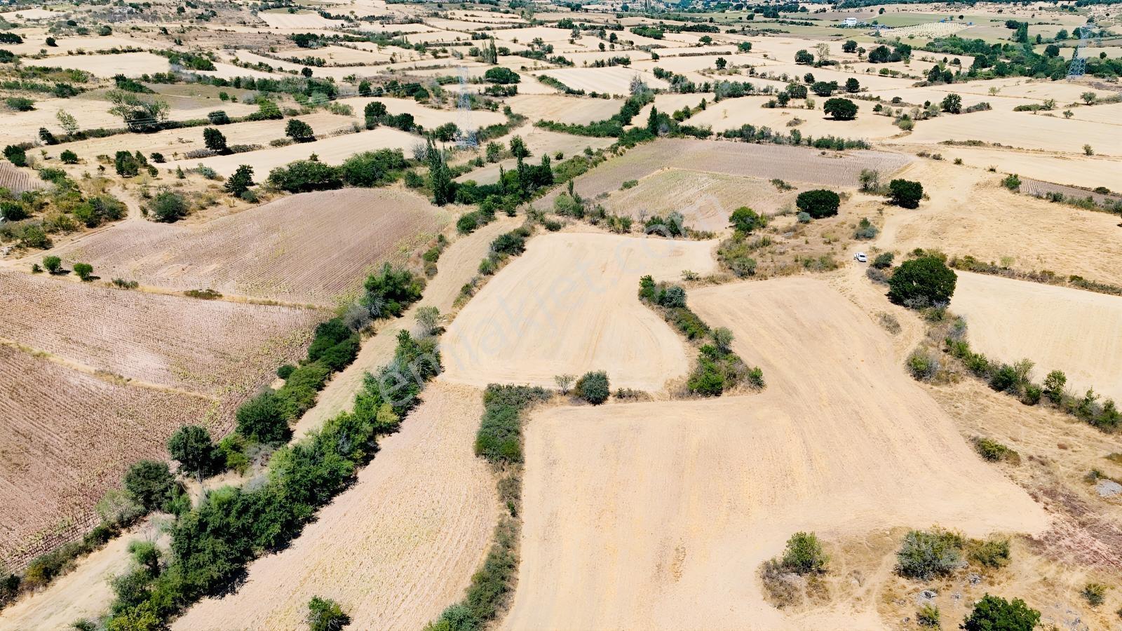 Üsküp Cevat Paşada 5170m2 Satılık Tarla — fotoğraf 7