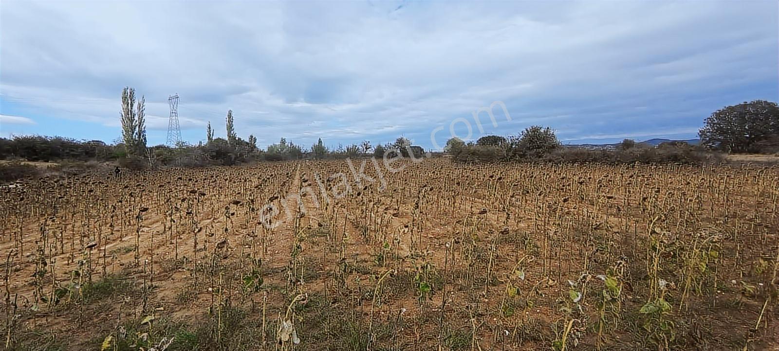 Üsküp Cevat Paşada 5170m2 Satılık Tarla — fotoğraf 8