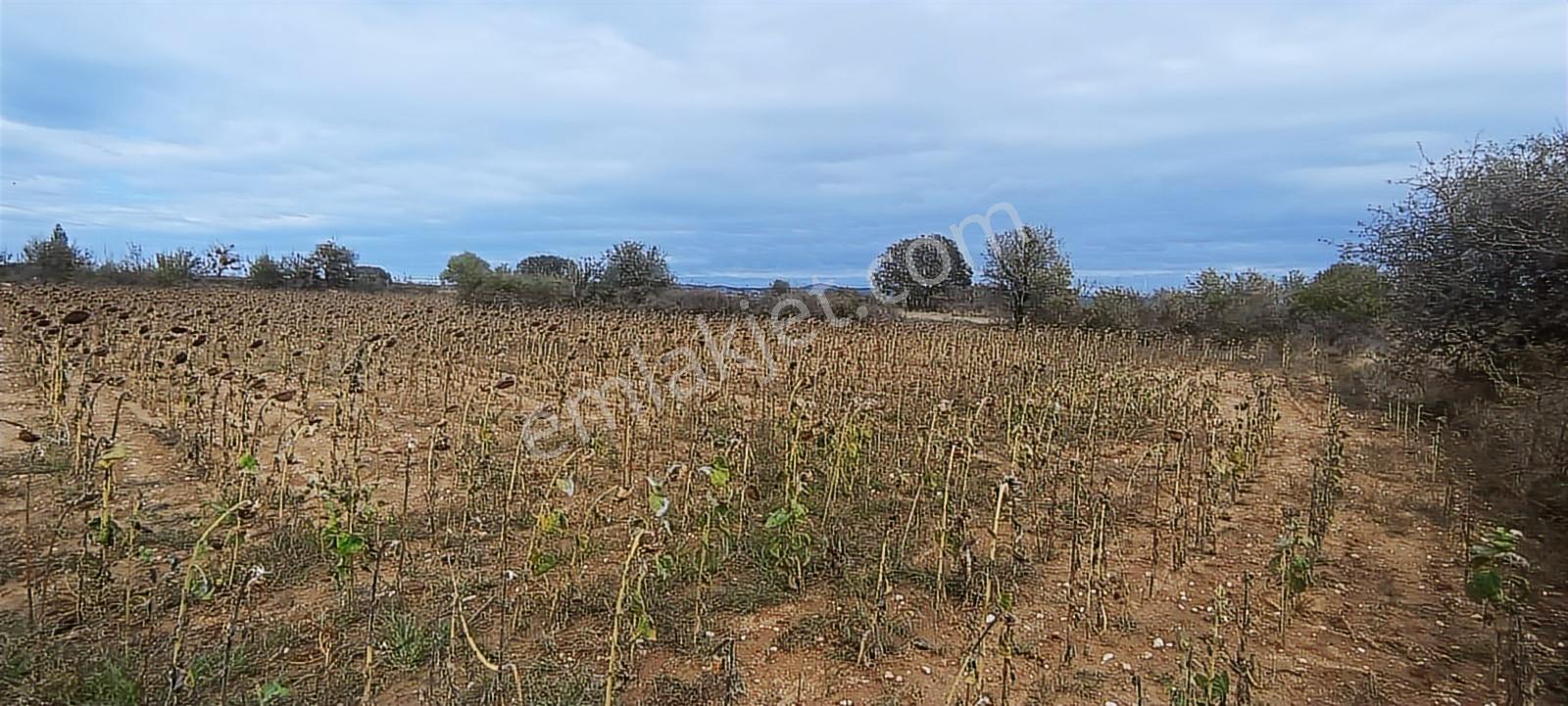 Üsküp Cevat Paşada 5170m2 Satılık Tarla — fotoğraf 9