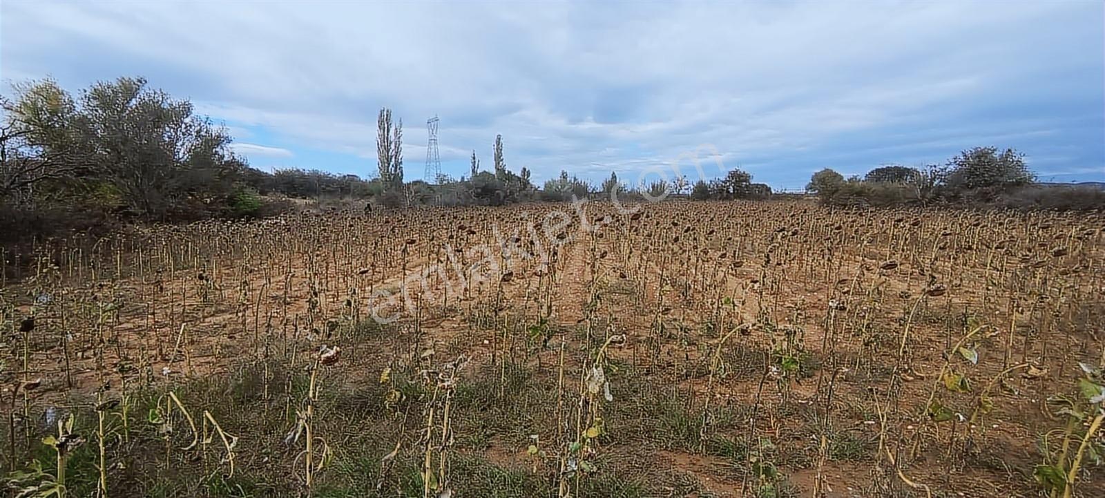 Üsküp Cevat Paşada 5170m2 Satılık Tarla — fotoğraf 10