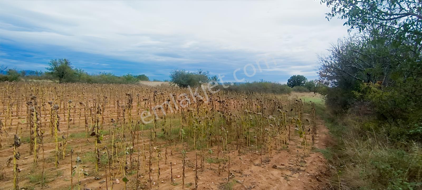 Üsküp Cevat Paşada 5170m2 Satılık Tarla — fotoğraf 11