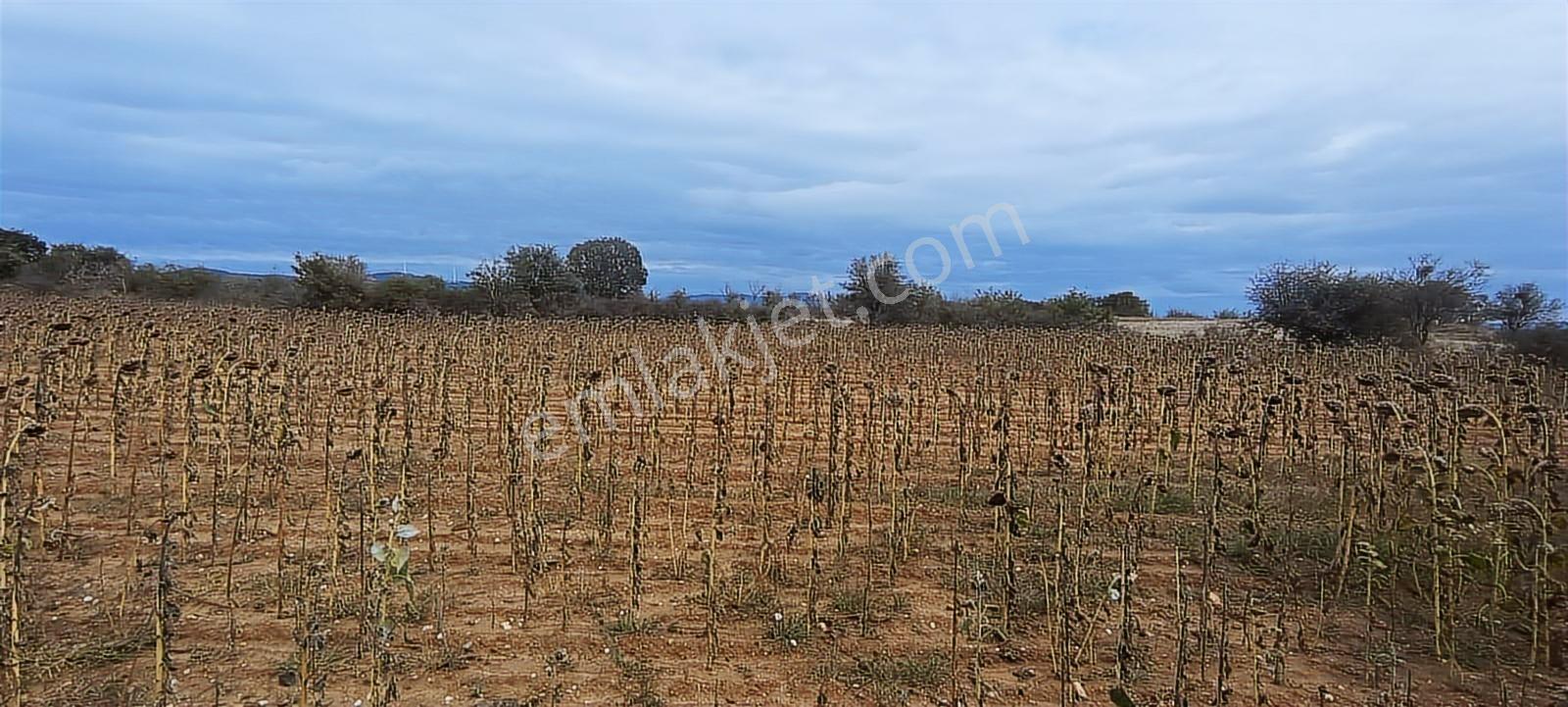 Üsküp Cevat Paşada 5170m2 Satılık Tarla — fotoğraf 12