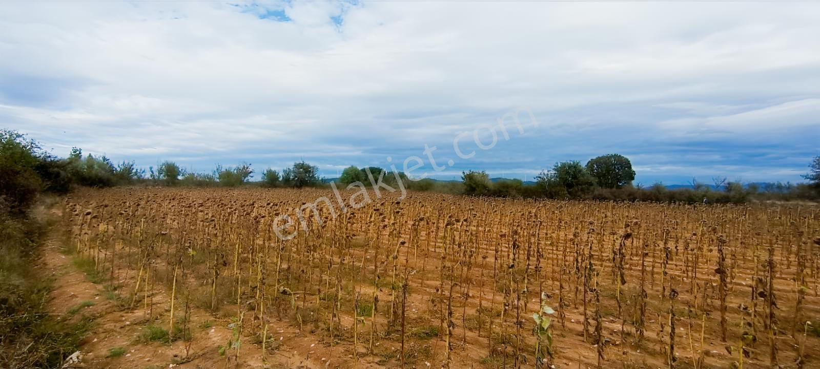 Üsküp Cevat Paşada 5170m2 Satılık Tarla — fotoğraf 13