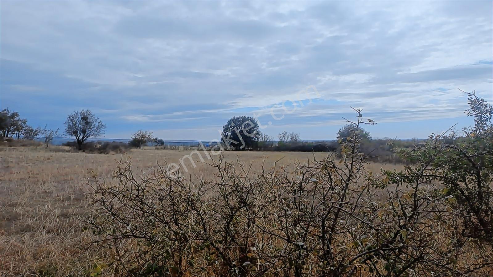 Üsküp Cevat Paşada 5170m2 Satılık Tarla — fotoğraf 14