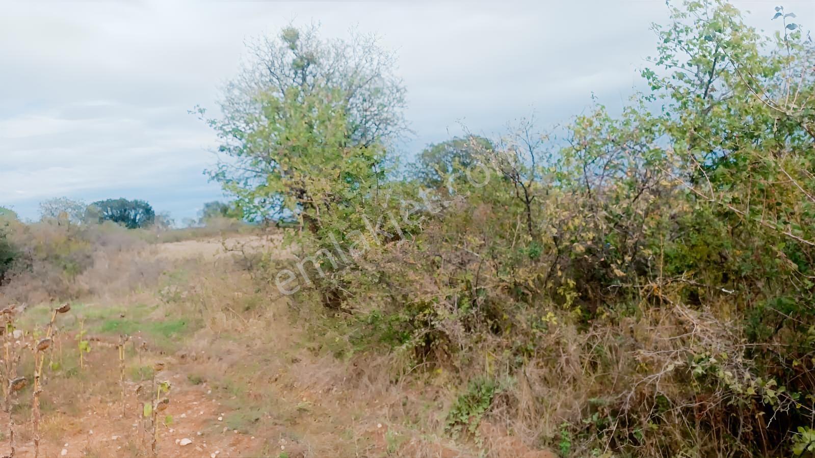 Üsküp Cevat Paşada 5170m2 Satılık Tarla — fotoğraf 15
