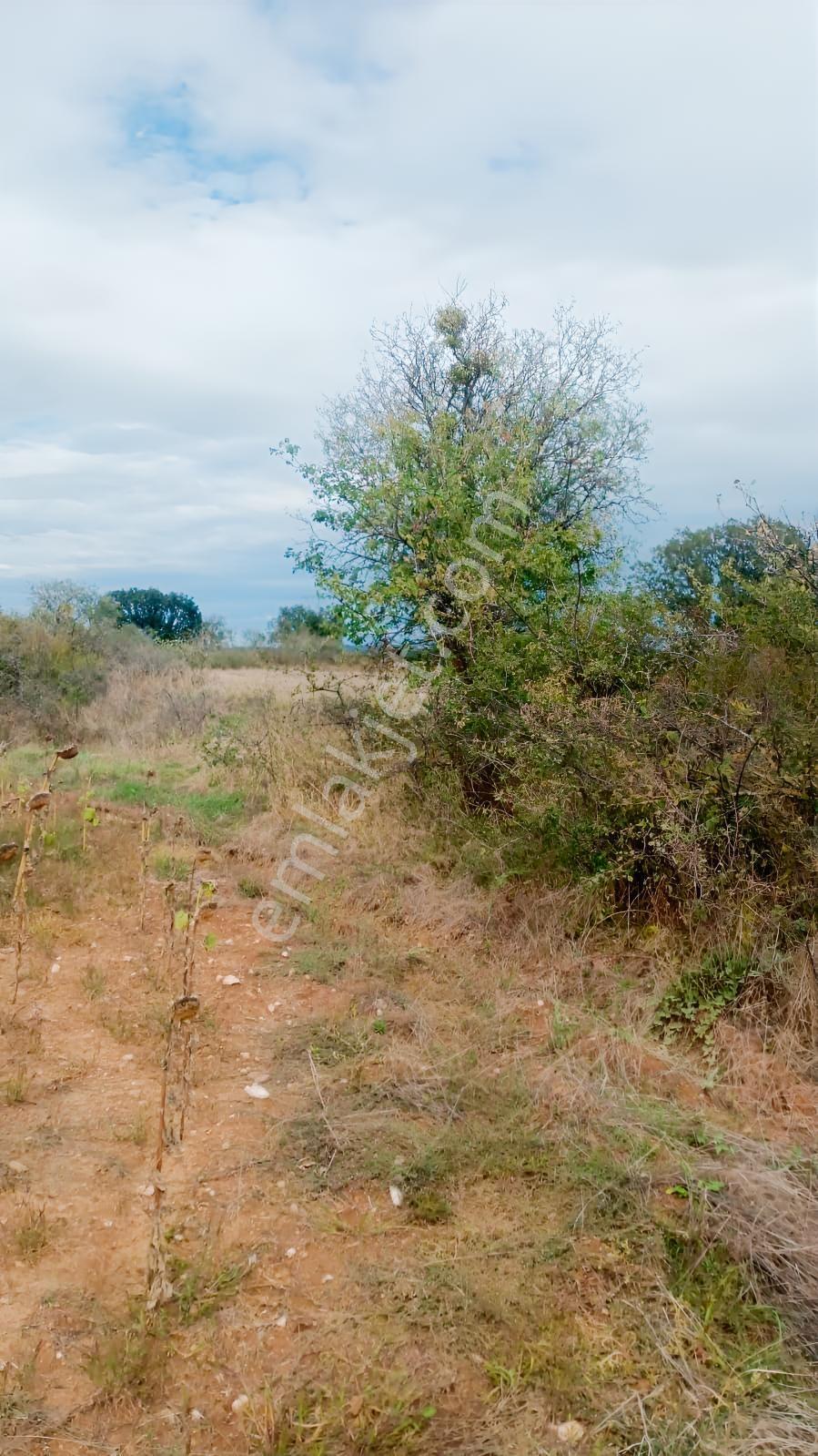Üsküp Cevat Paşada 5170m2 Satılık Tarla — fotoğraf 16