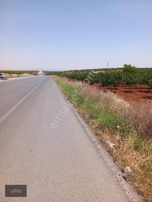 Arevar'dan Nizip Şehir Hastanesi Karşısı Yatırımlık Fıstıklık — fotoğraf 3
