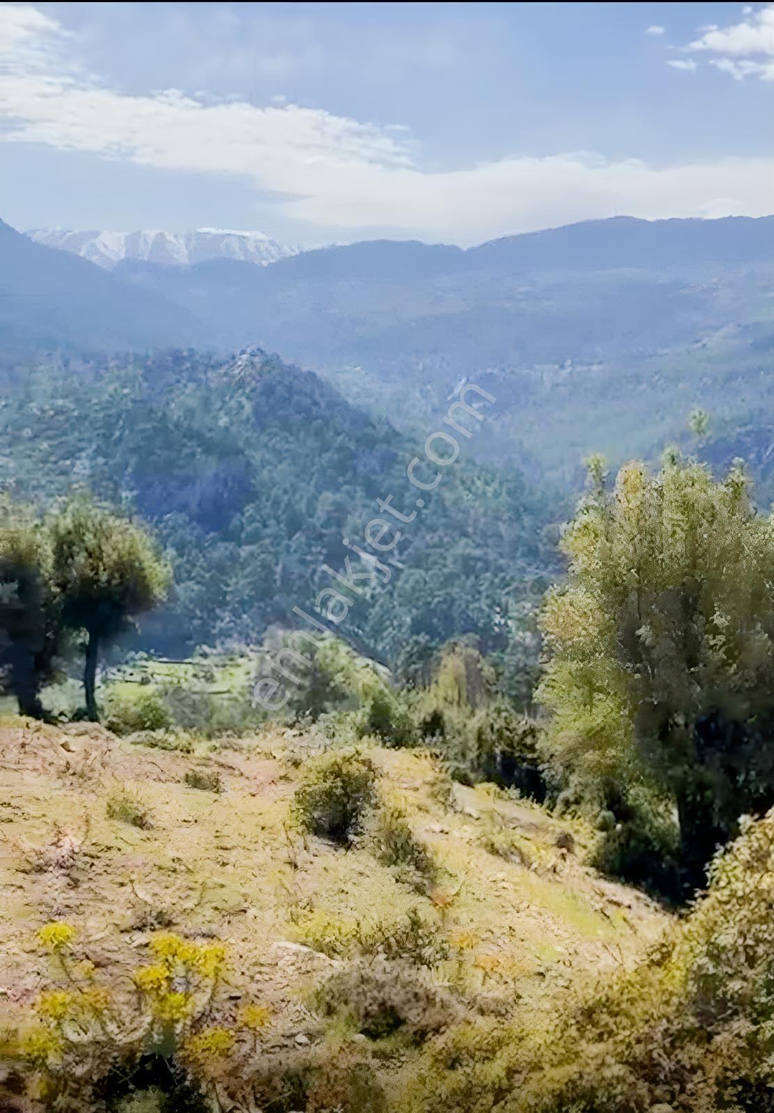 Konyaaltı Üçoluk'ta 20 Dönüm Tarla (ahşap Ev Ve Tarla Nitelikli) — fotoğraf 12