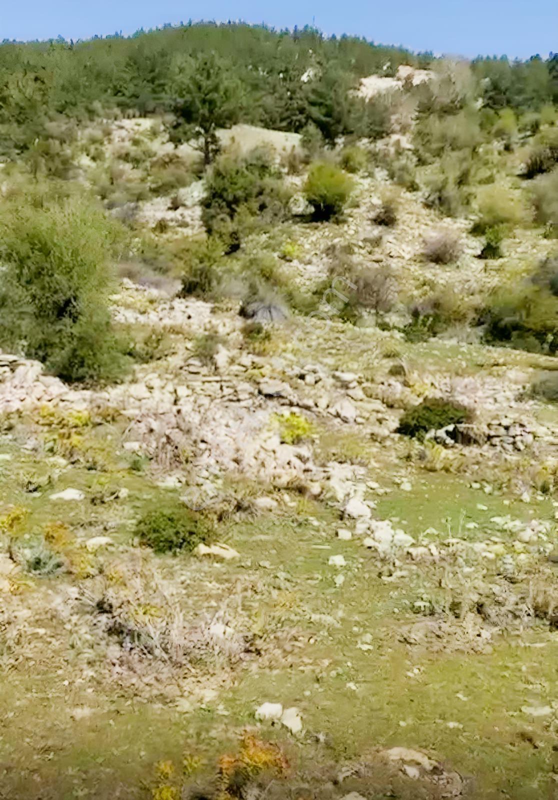 Konyaaltı Üçoluk'ta 20 Dönüm Tarla (ahşap Ev Ve Tarla Nitelikli) — fotoğraf 13