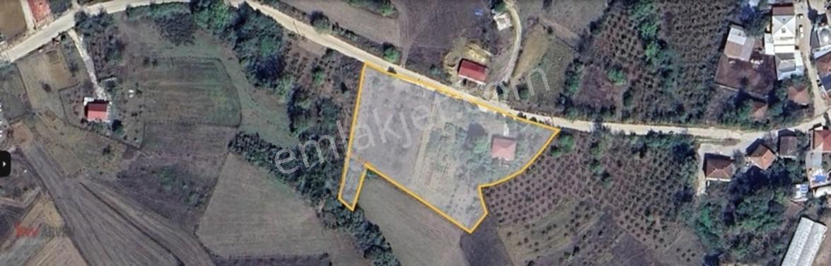 Kw Arven'den Kandıra Sepetçi'de 6208 M2 Tarlanın 12/8 Hissesi — fotoğraf 2