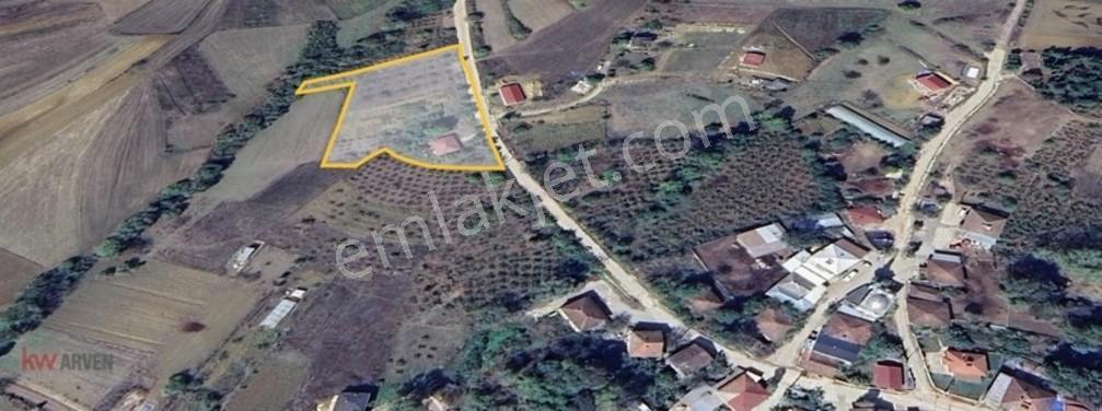 Kw Arven'den Kandıra Sepetçi'de 6208 M2 Tarlanın 12/8 Hissesi — fotoğraf 3