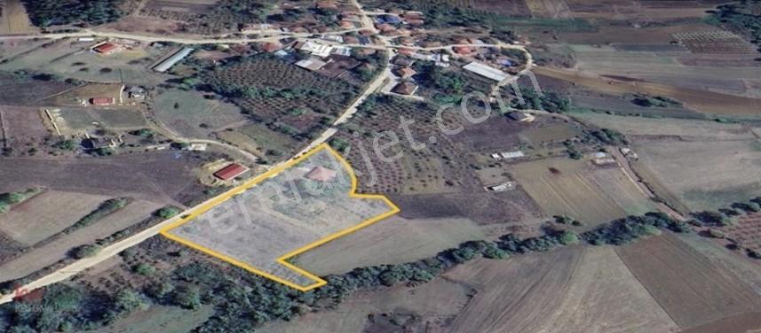 Kw Arven'den Kandıra Sepetçi'de 6208 M2 Tarlanın 12/8 Hissesi — fotoğraf 4
