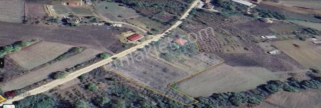 Kw Arven'den Kandıra Sepetçi'de 6208 M2 Tarlanın 12/8 Hissesi — fotoğraf 5