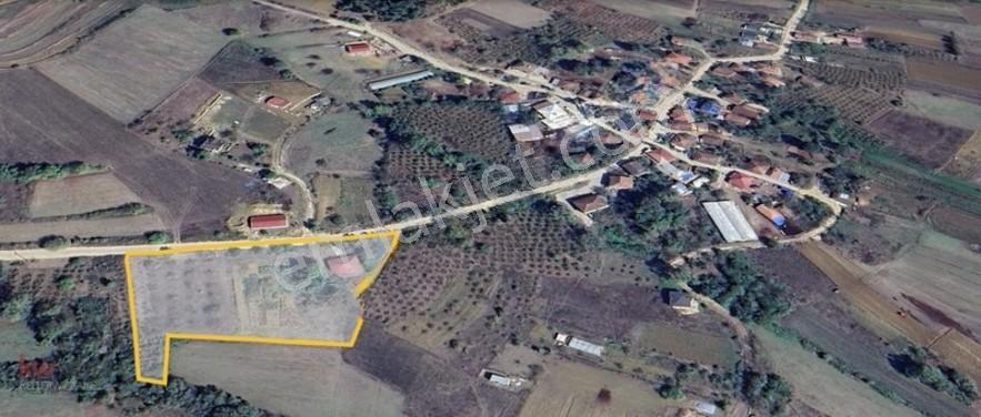 Kw Arven'den Kandıra Sepetçi'de 6208 M2 Tarlanın 12/8 Hissesi — fotoğraf 6