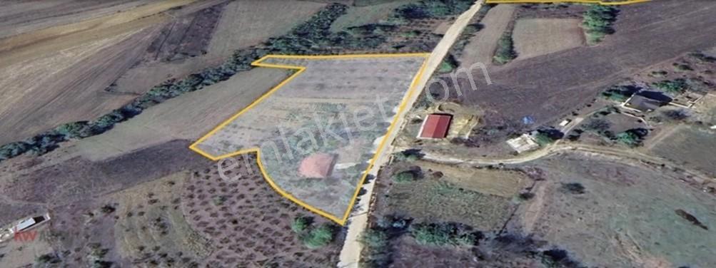 Kw Arven'den Kandıra Sepetçi'de 6208 M2 Tarlanın 12/8 Hissesi — fotoğraf 7