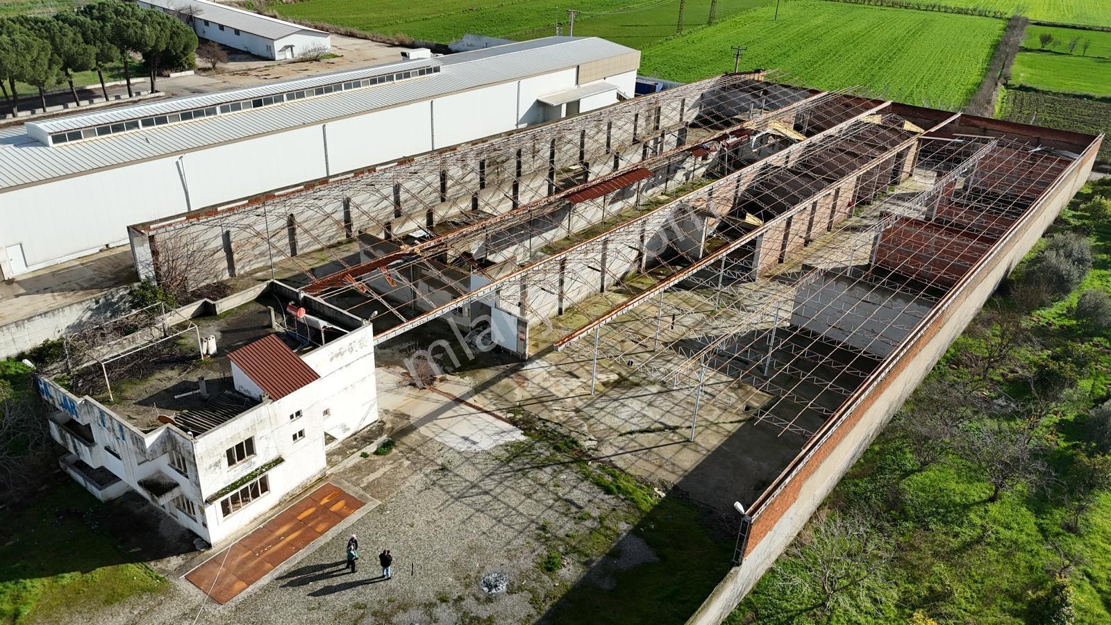 Aydın Denizli Karayoluna Cephe 6904 M2 Sanayi İmarlı Arsa — fotoğraf 10