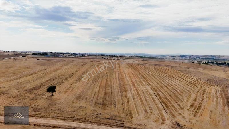Kavak Mahallesi Şehir Merkezine 800 Metre Mesafede Fırsat Arazi! — fotoğraf 3