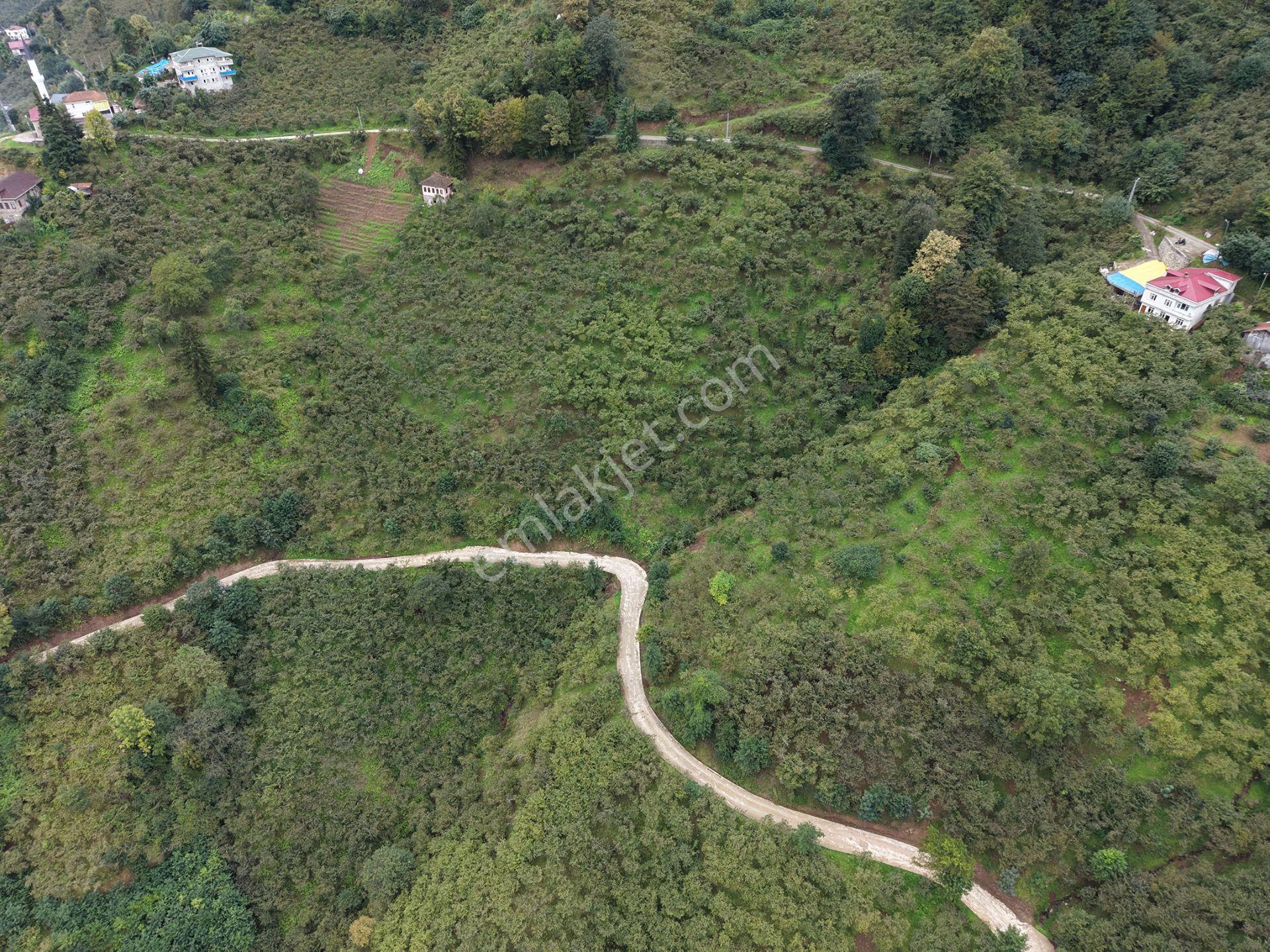 Trabzon Yomra Kayabaşında Satılık Arazi — fotoğraf 6