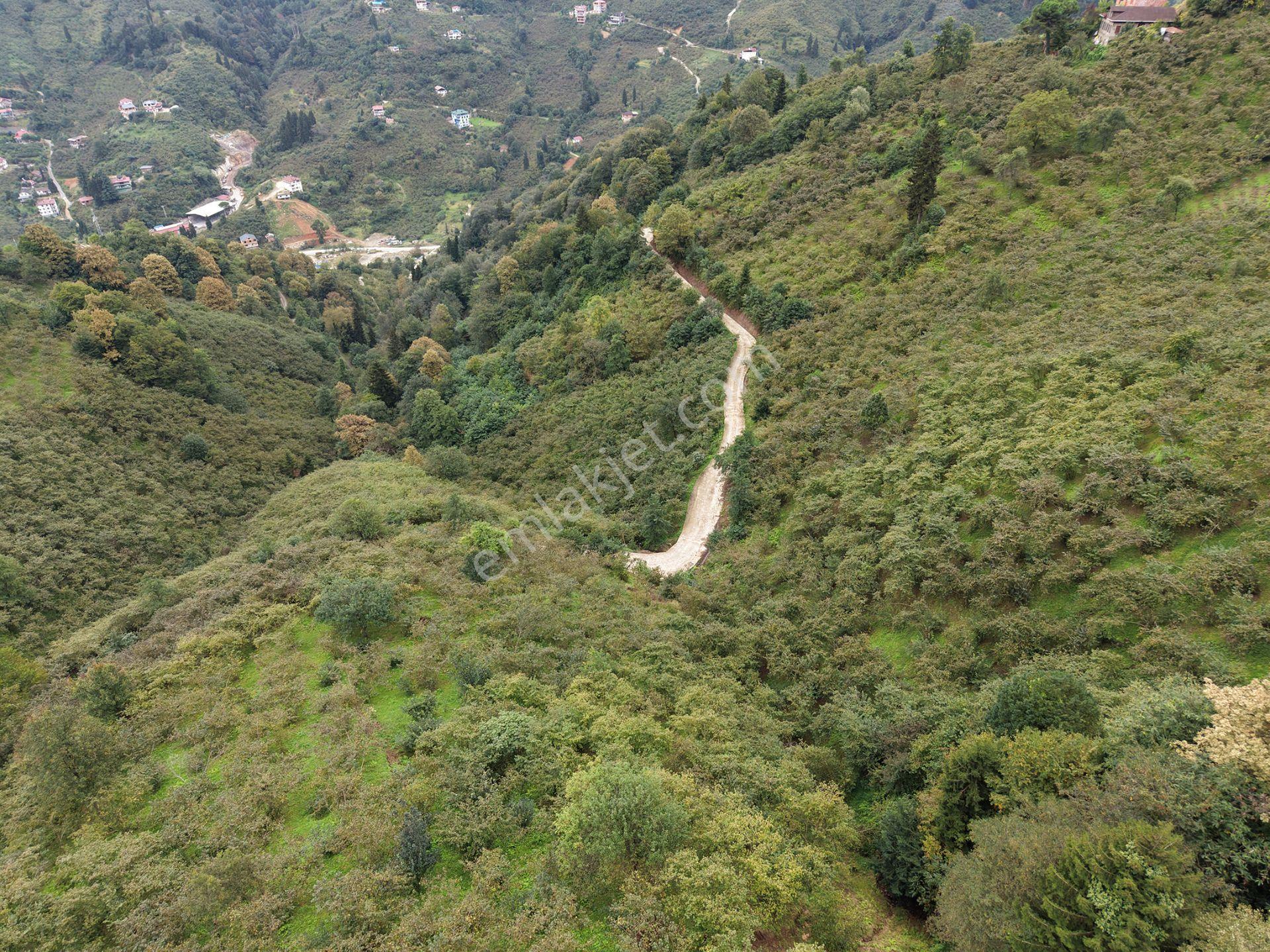 Trabzon Yomra Kayabaşında Satılık Arazi — fotoğraf 7