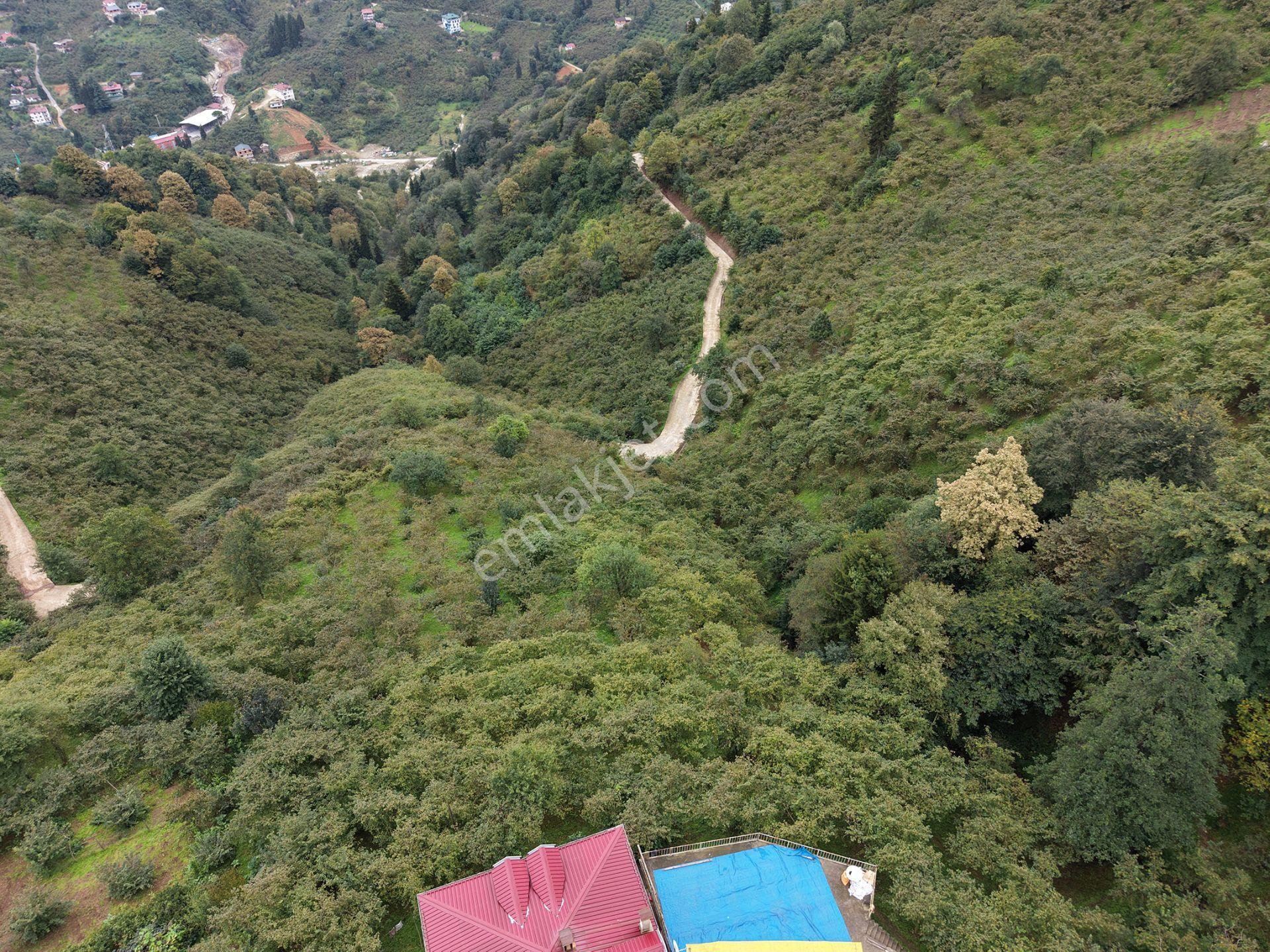 Trabzon Yomra Kayabaşında Satılık Arazi — fotoğraf 8