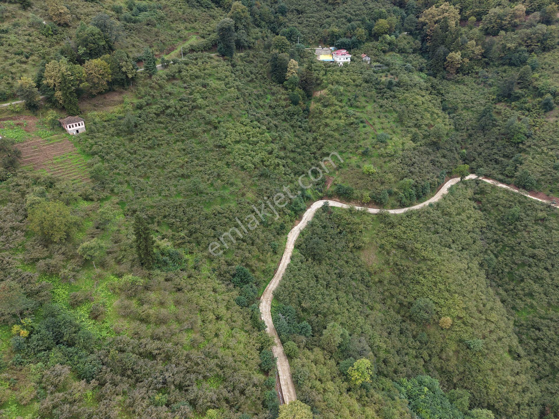 Trabzon Yomra Kayabaşında Satılık Arazi — fotoğraf 9