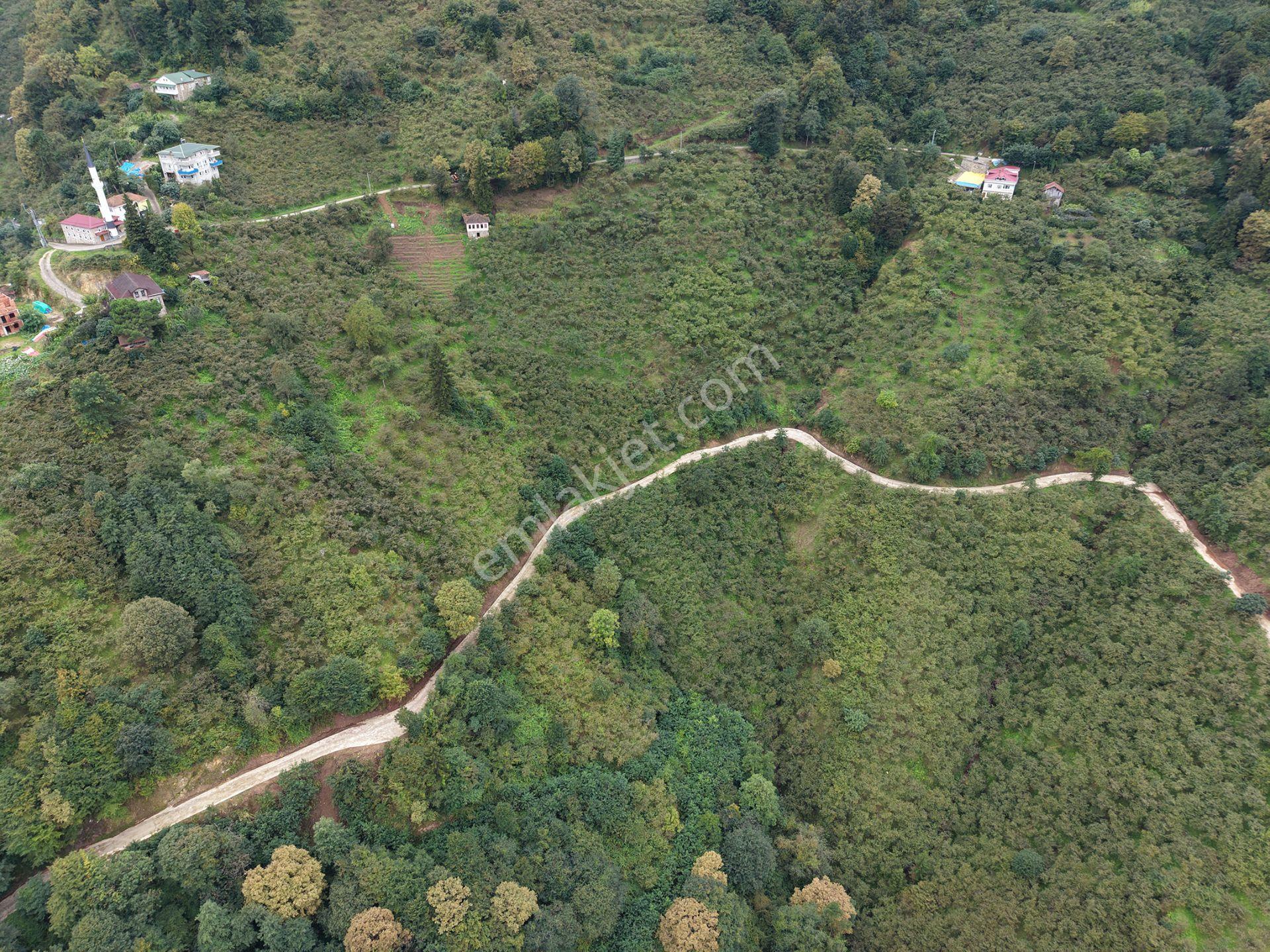 Trabzon Yomra Kayabaşında Satılık Arazi — fotoğraf 11