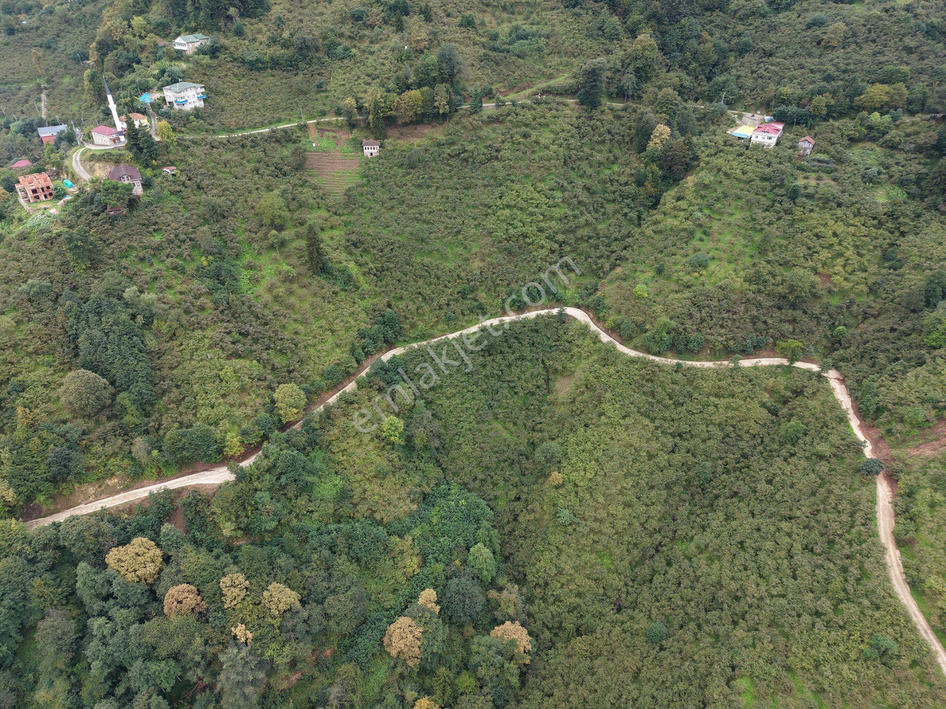 Trabzon Yomra Kayabaşında Satılık Arazi — fotoğraf 12