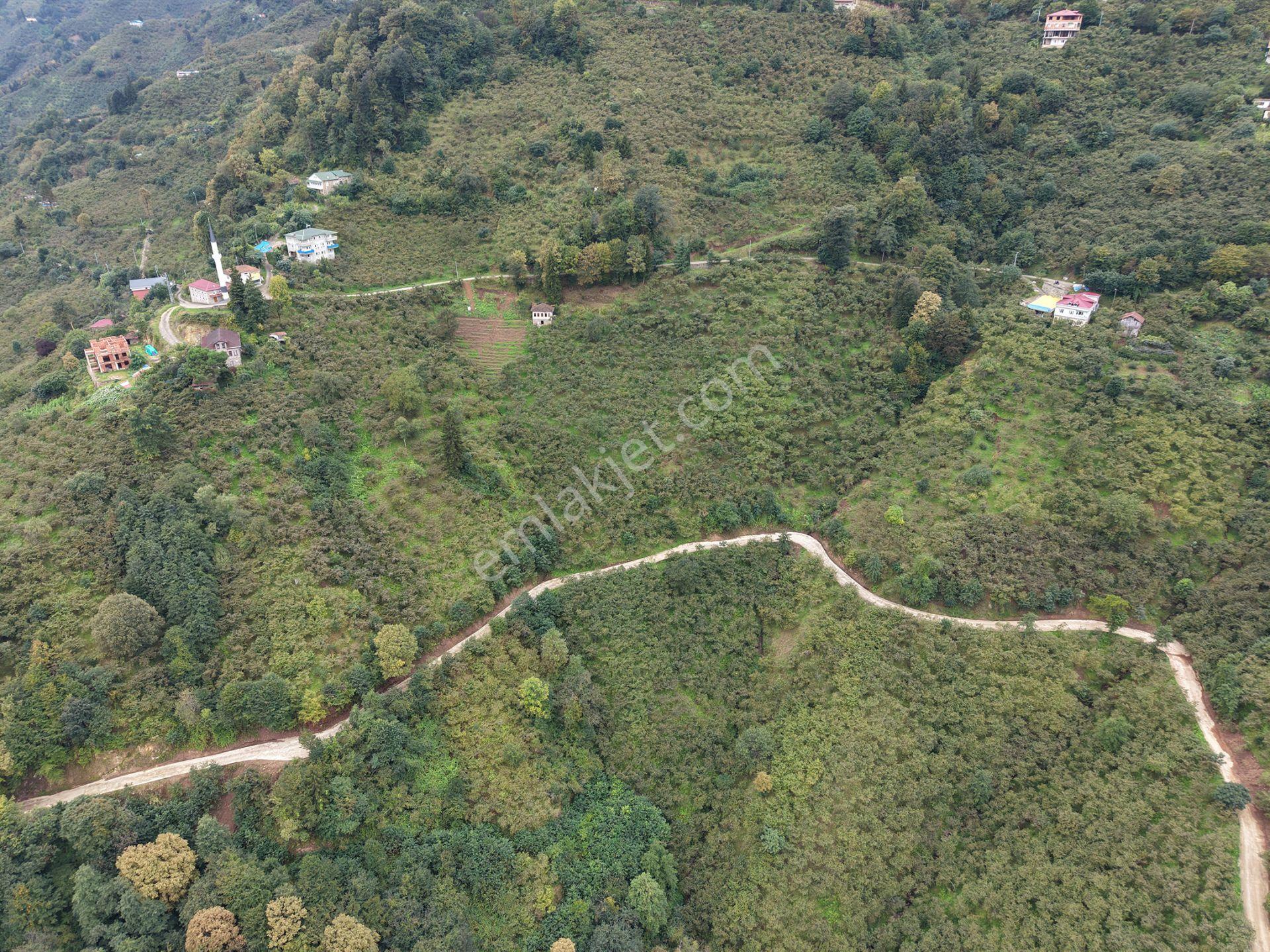 Trabzon Yomra Kayabaşında Satılık Arazi — fotoğraf 13