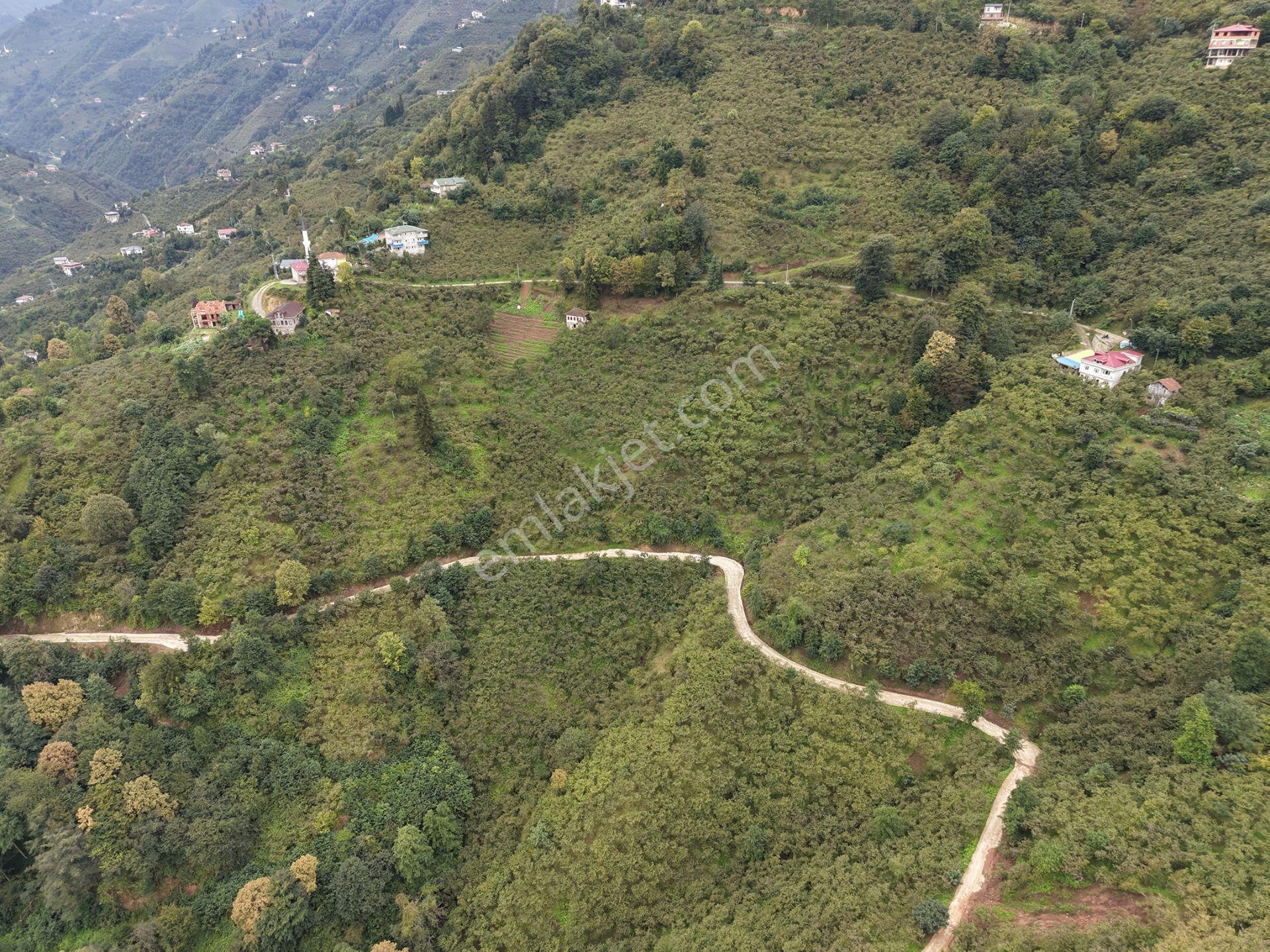 Trabzon Yomra Kayabaşında Satılık Arazi — fotoğraf 14