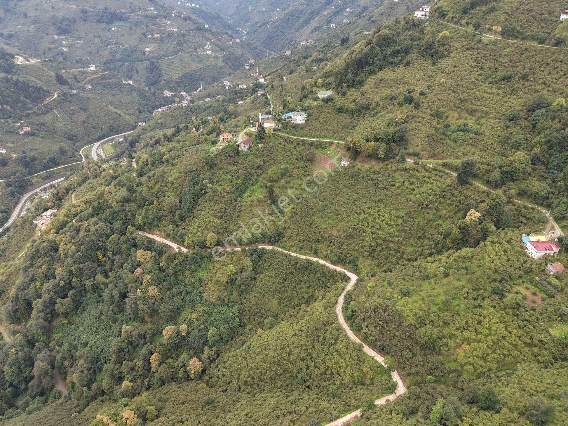 Trabzon Yomra Kayabaşında Satılık Arazi — fotoğraf 15
