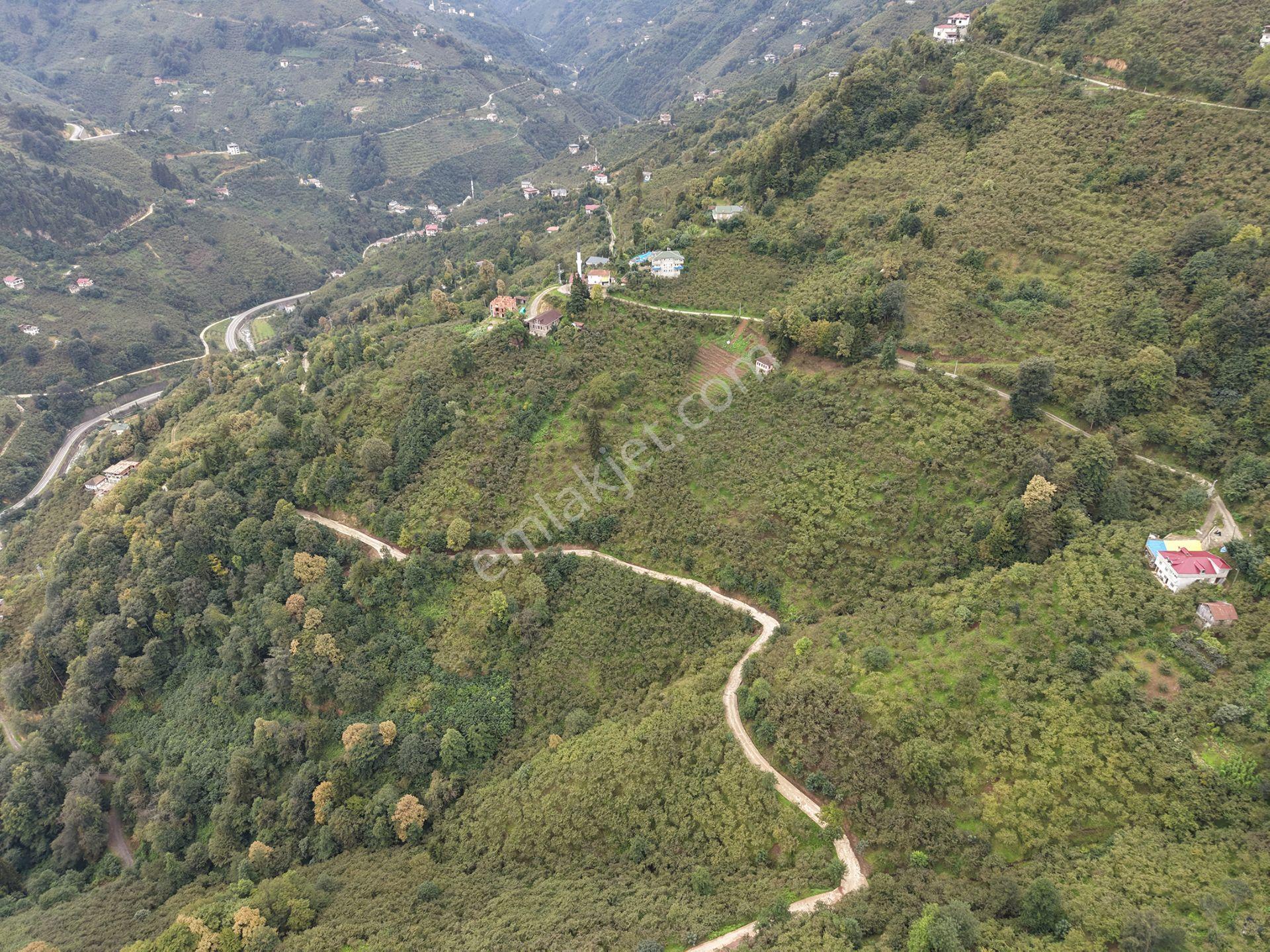 Trabzon Yomra Kayabaşında Satılık Arazi — fotoğraf 16