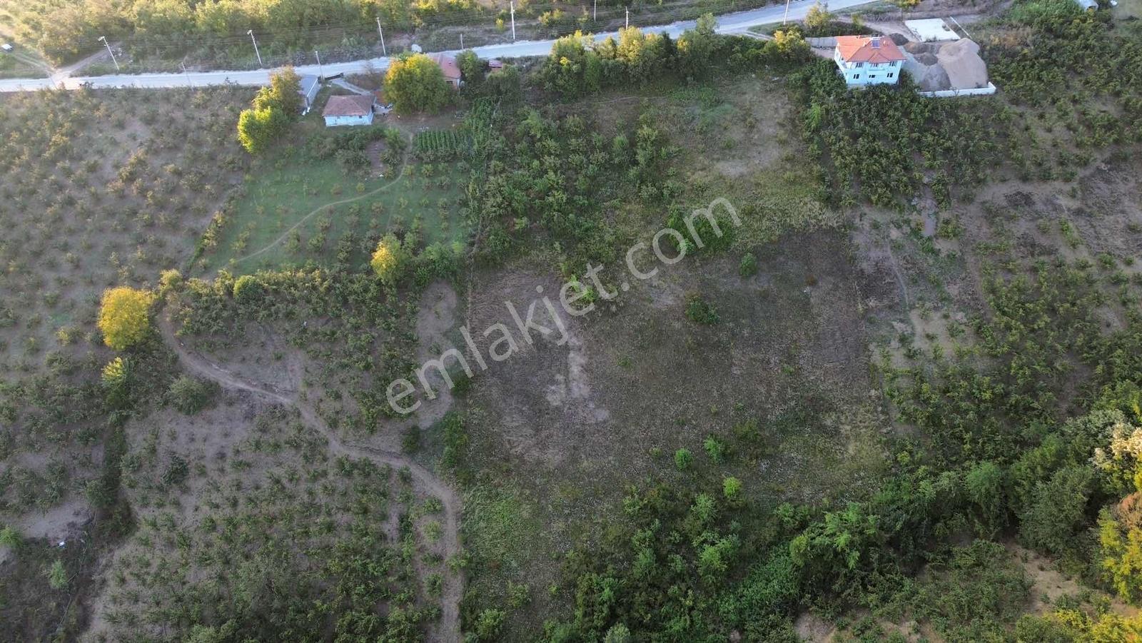 Asar Köyü Fırsat Yatırımlık 10.661 M2 Satılık — fotoğraf 4