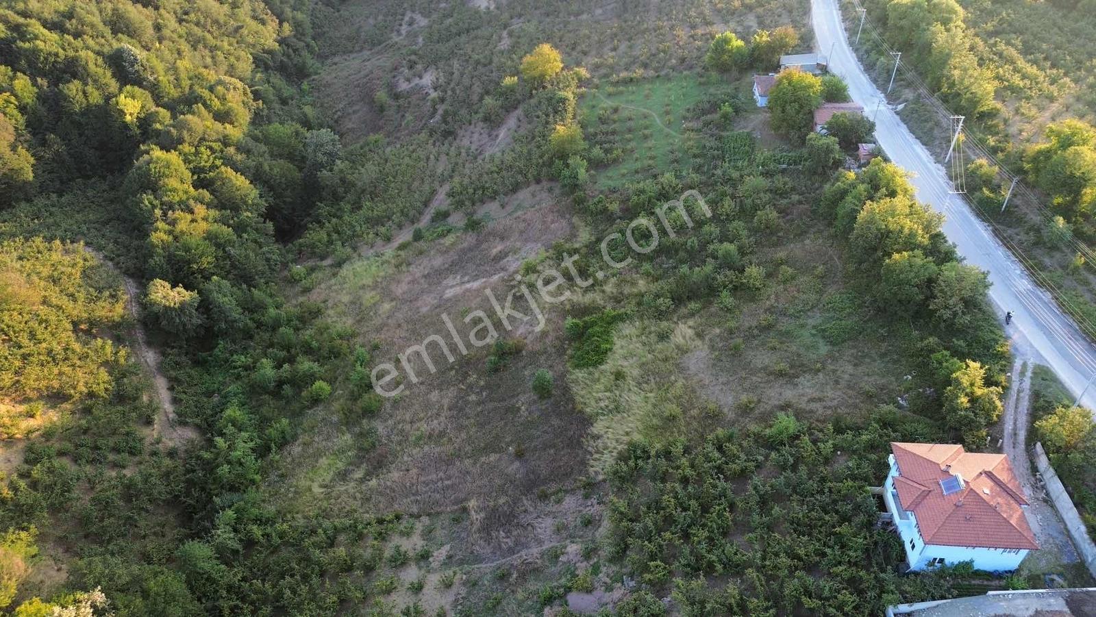 Asar Köyü Fırsat Yatırımlık 10.661 M2 Satılık — fotoğraf 5