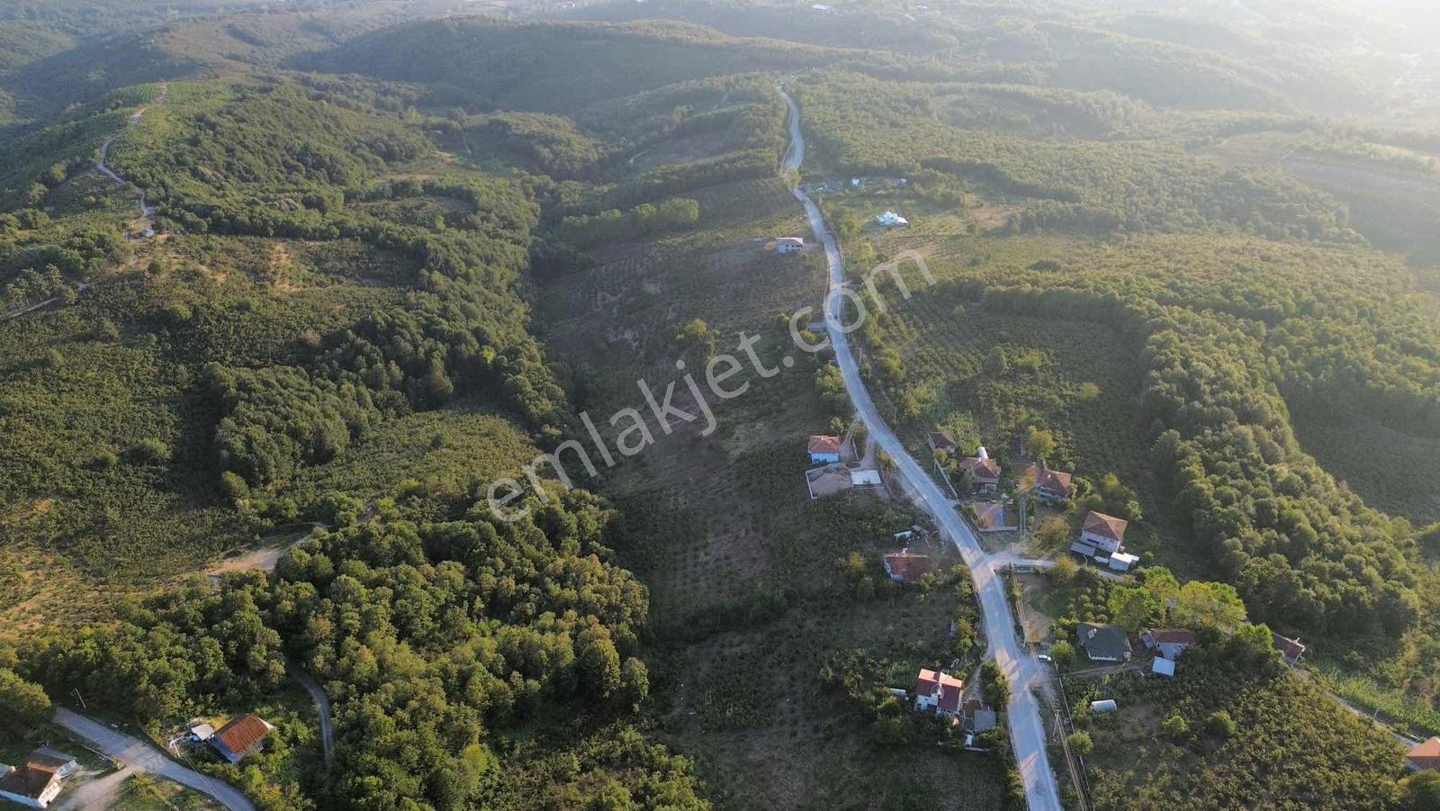 Asar Köyü Fırsat Yatırımlık 10.661 M2 Satılık — fotoğraf 8