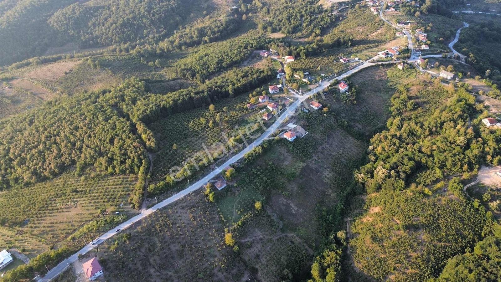 Asar Köyü Fırsat Yatırımlık 10.661 M2 Satılık — fotoğraf 9
