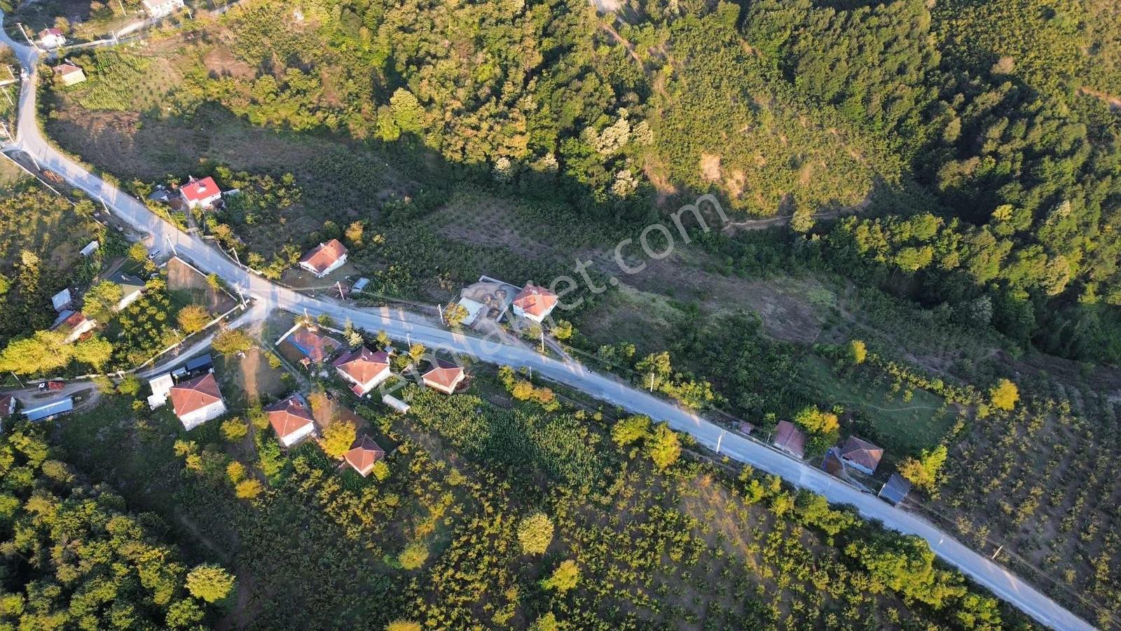Asar Köyü Fırsat Yatırımlık 10.661 M2 Satılık — fotoğraf 10
