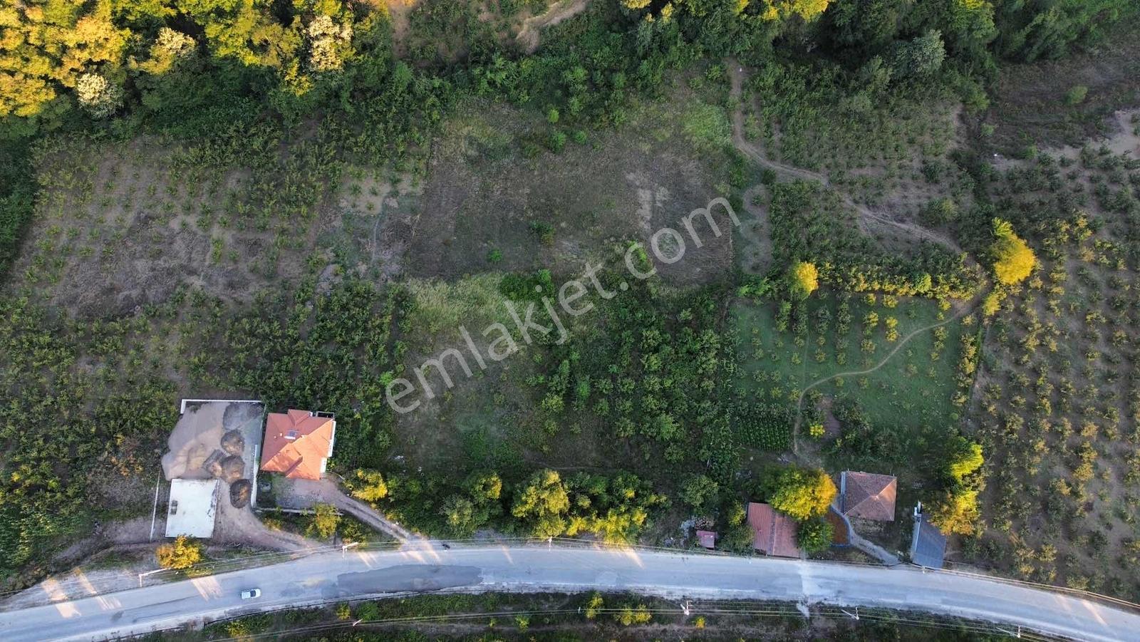Asar Köyü Fırsat Yatırımlık 10.661 M2 Satılık — fotoğraf 11