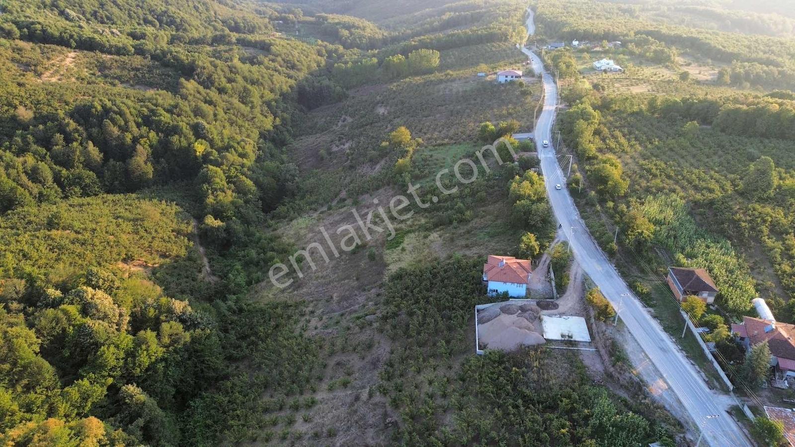 Asar Köyü Fırsat Yatırımlık 10.661 M2 Satılık — fotoğraf 12