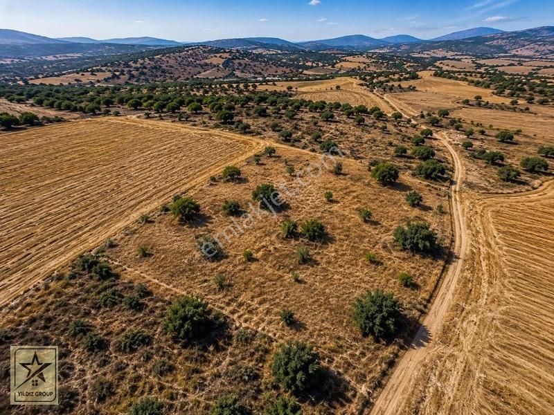 Çavdarhisar Efeler Köyünde 3,456m2 Ufak Parsel Arazi — fotoğraf 2